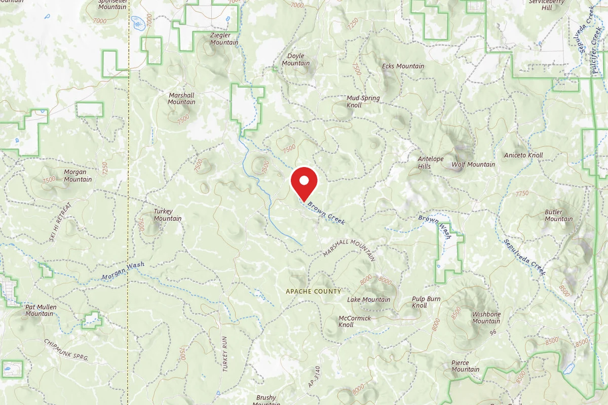 Brown Creek Dispersed Camping Area