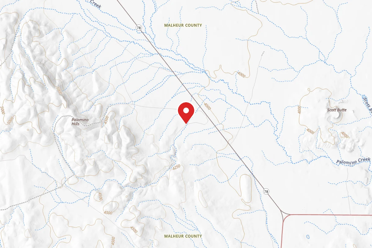 Palomino Hills Dispersed Camping