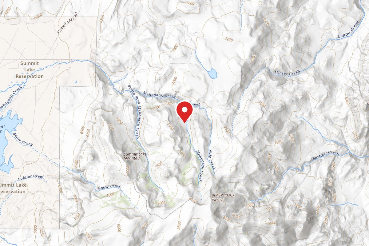 Lahontan Cutthroat Natural Area