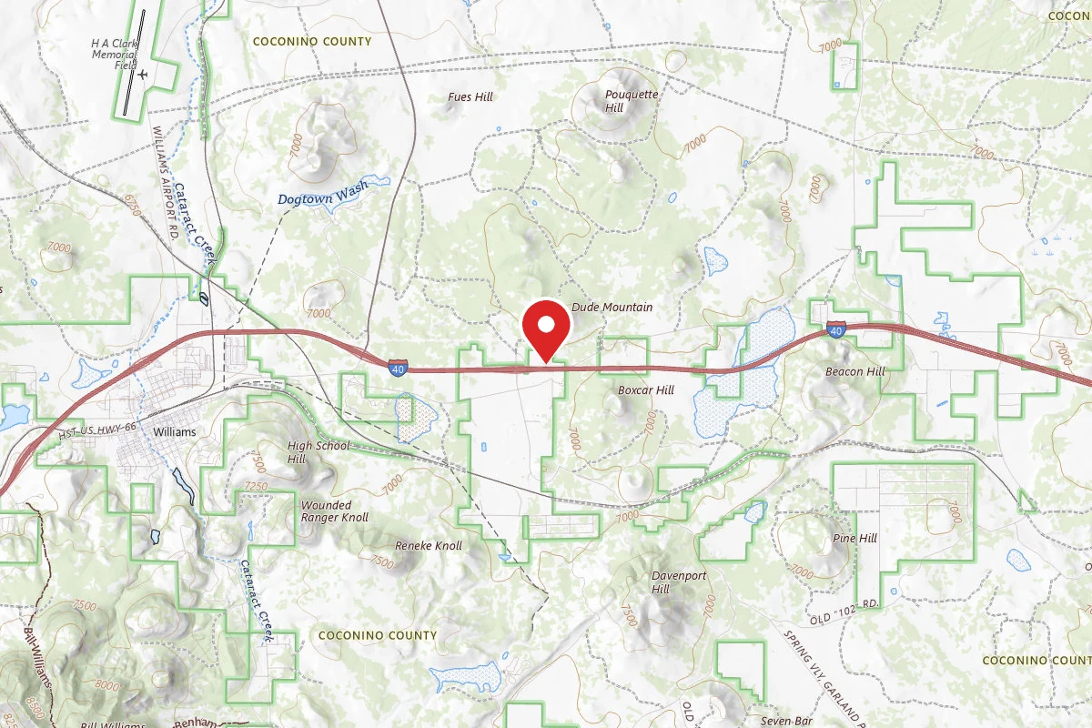 Williams-Circle Pines KOA