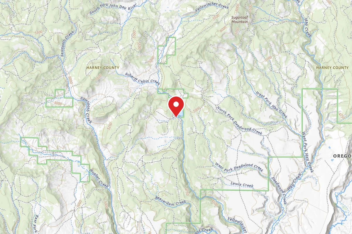 Yellowjacket Campground