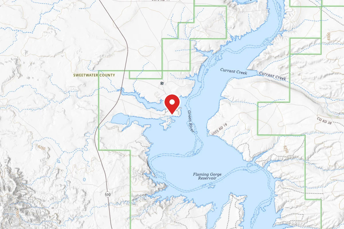 South Buckboard Dispersed