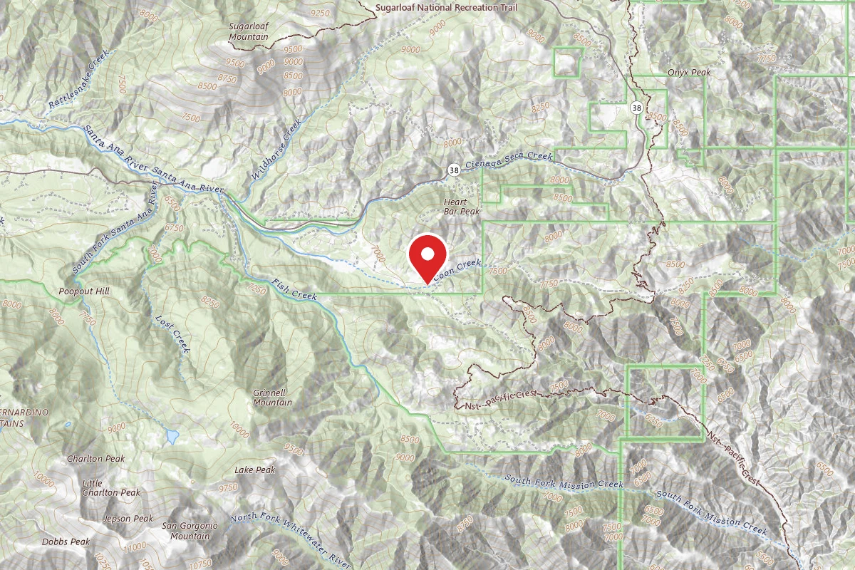 Coon Creek Yellow Post Sites