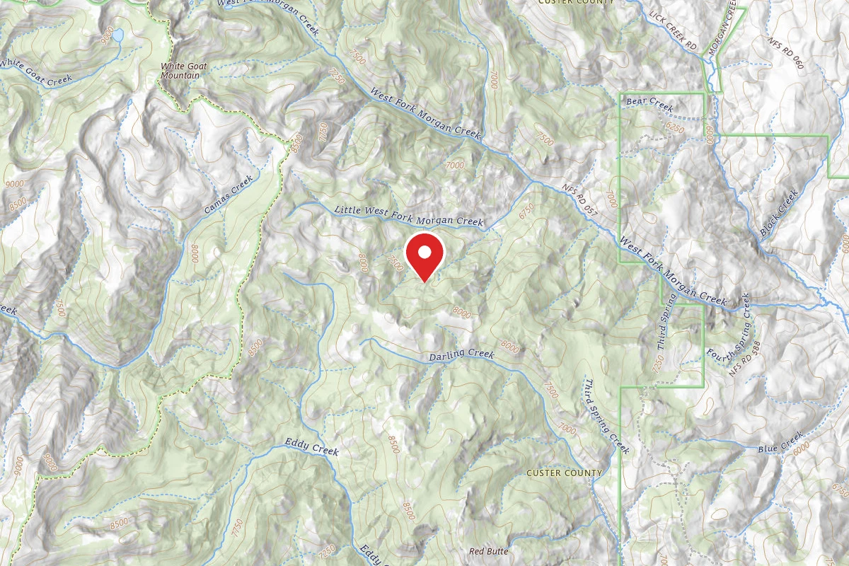 Little West Fork Morgan Creek Trailhead