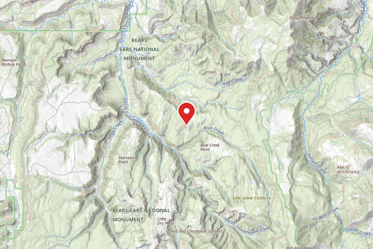 Pine Ridge - Dispersed Camping, Manti-La Sal