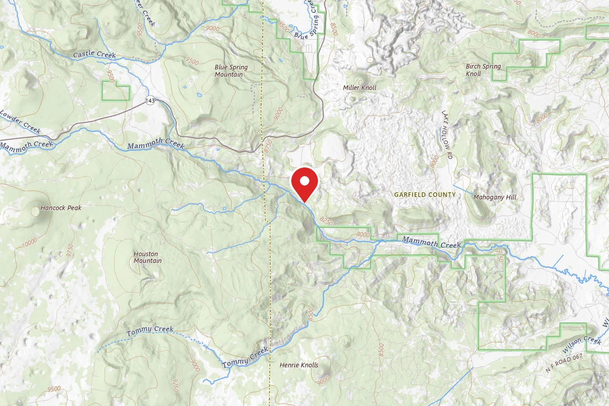 Mammoth Designated Dispersed Camping Area