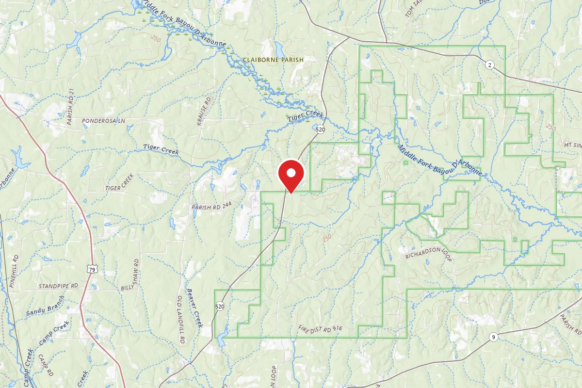 Bucktail Hunter Camp