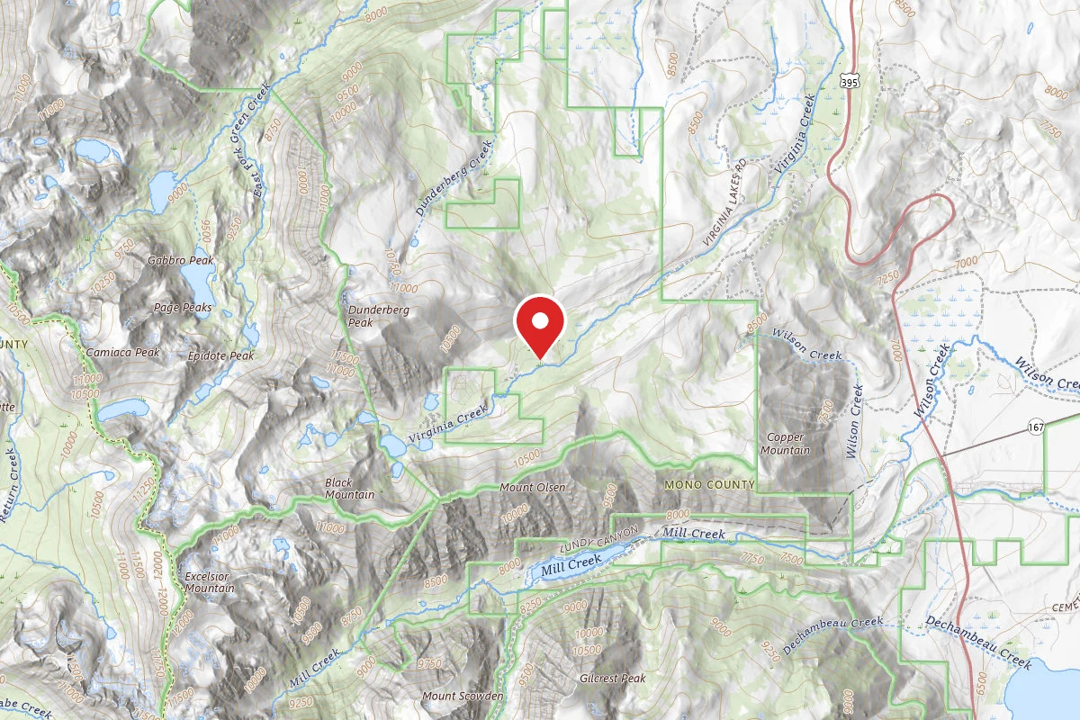Upper Virginia Creek Primitive Campground