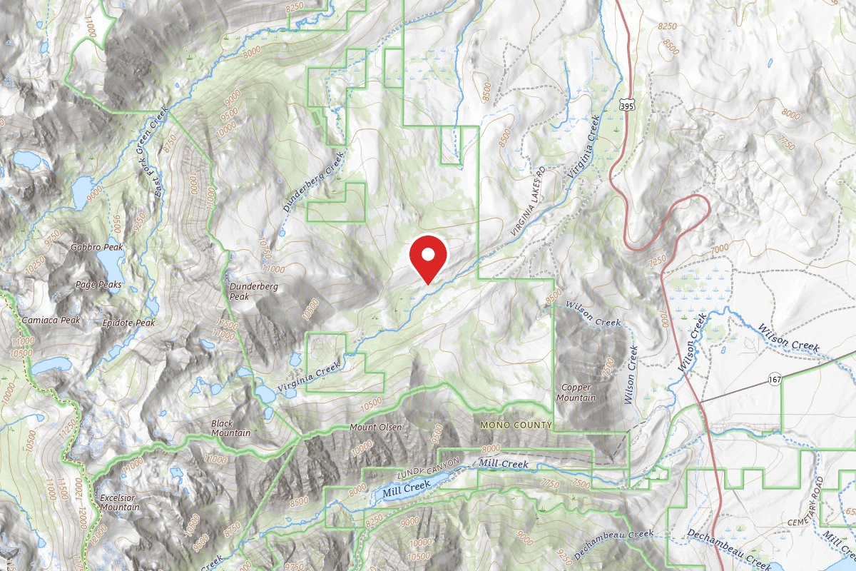 Lower Virginia Creek Primitive Campground