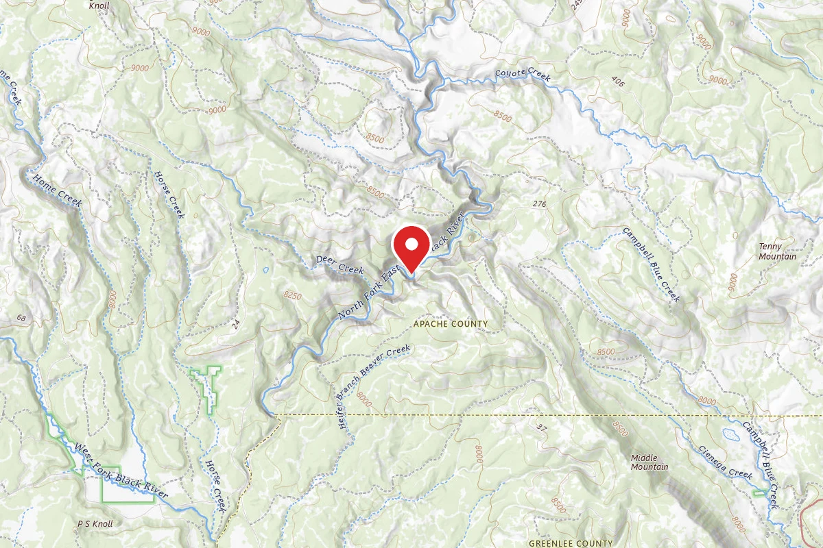 Aspen Campground - East Fork Black River