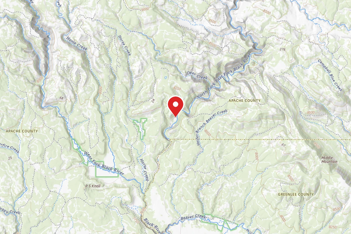 Horse Springs Group Ramada/Campground
