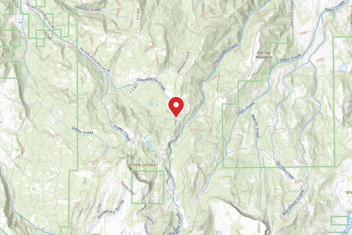 Cold Springs CUA Dispersed Camping