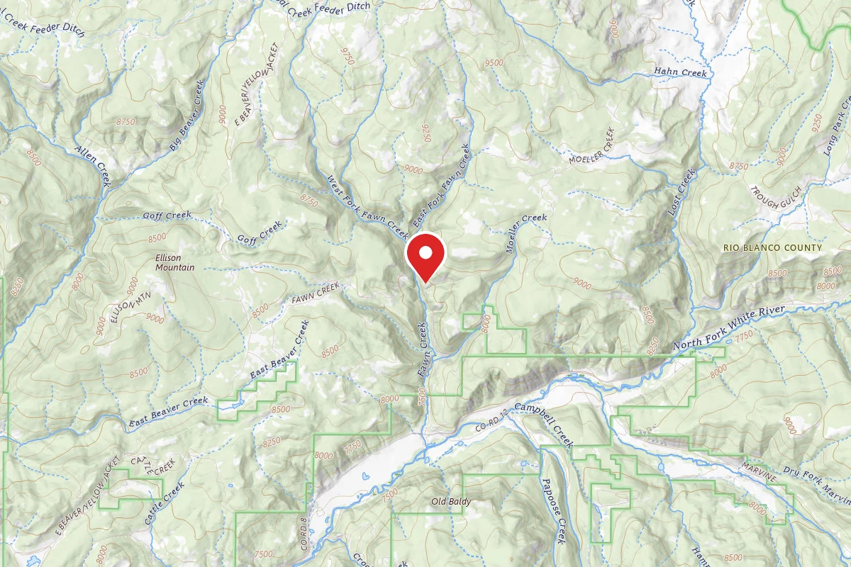 Moeller Creek FR#290 (via Fawn Creek FR #280)