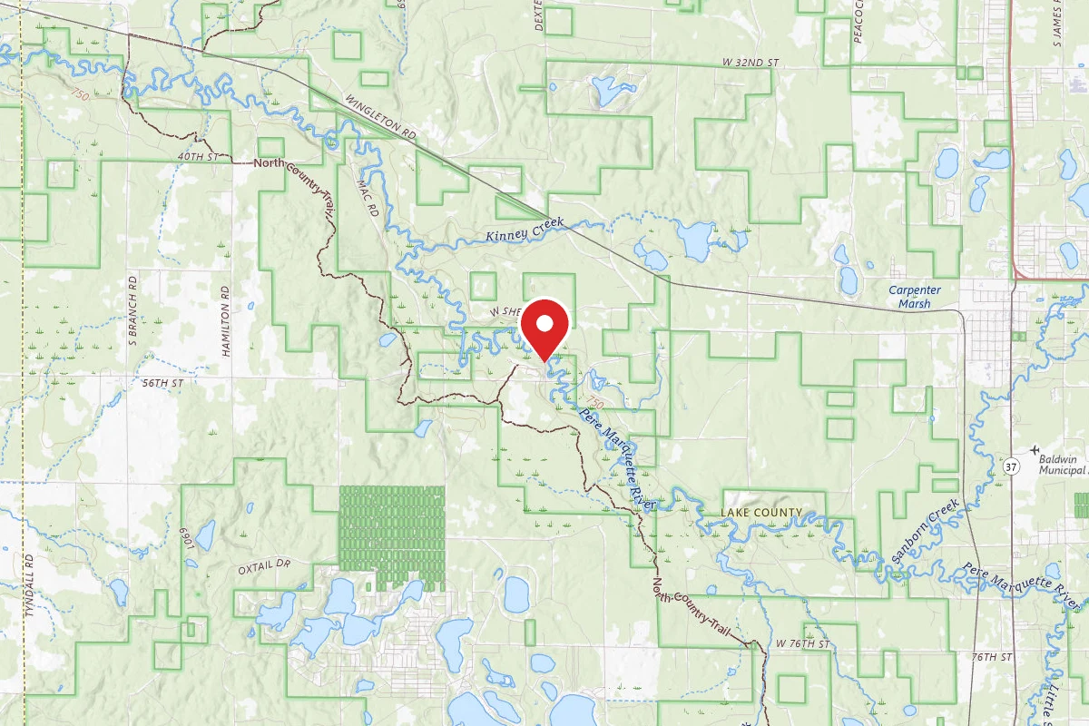 Bowman Lake Area