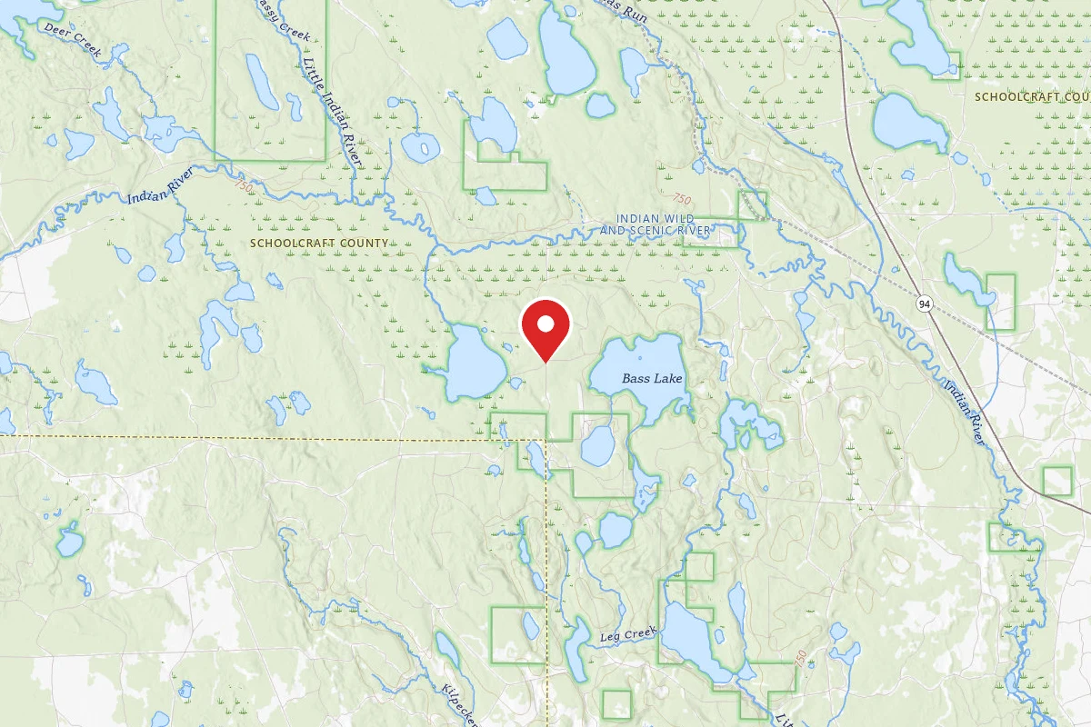 Triangle Lake Campsite