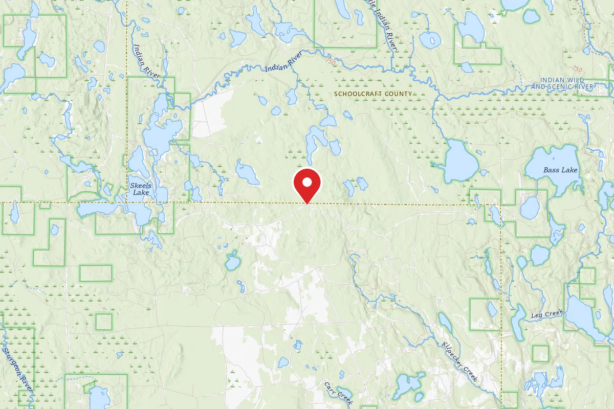 Lake Nineteen Campsites