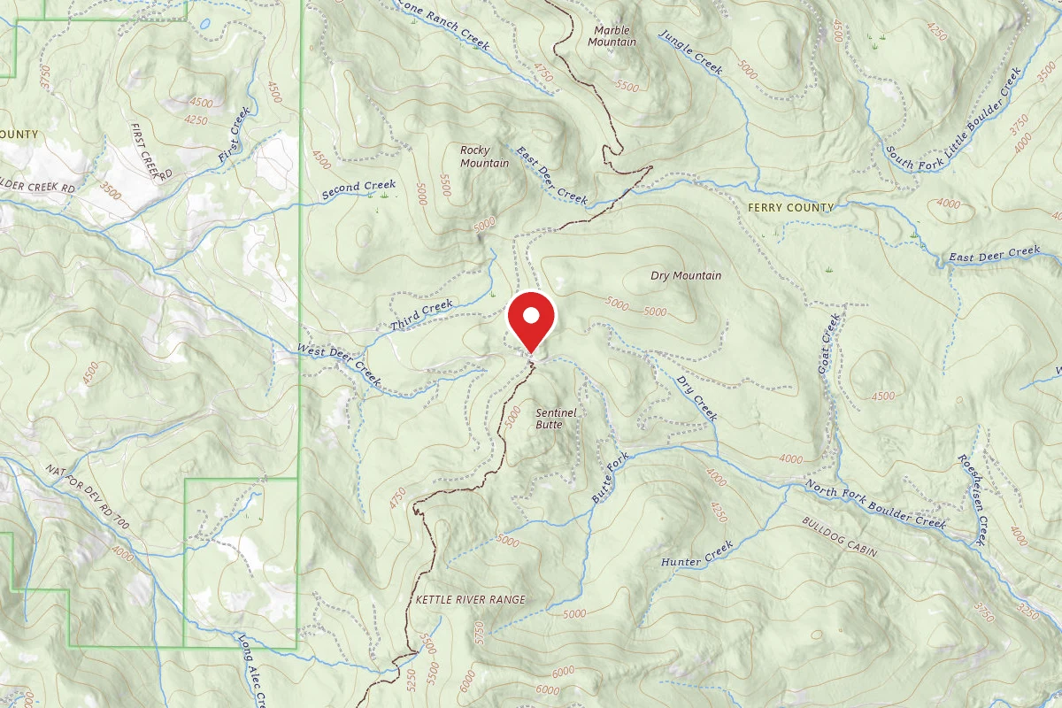 Deer Creek Forest Camp