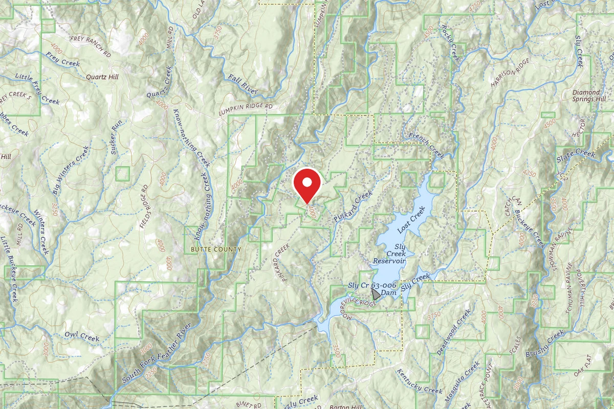 Golden Trout Campground