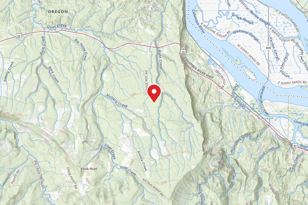 Clatsop State Forest Kerry Road Campsite