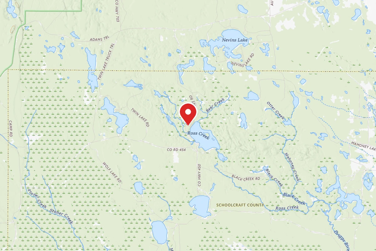 Ross Lake State Forest Campground