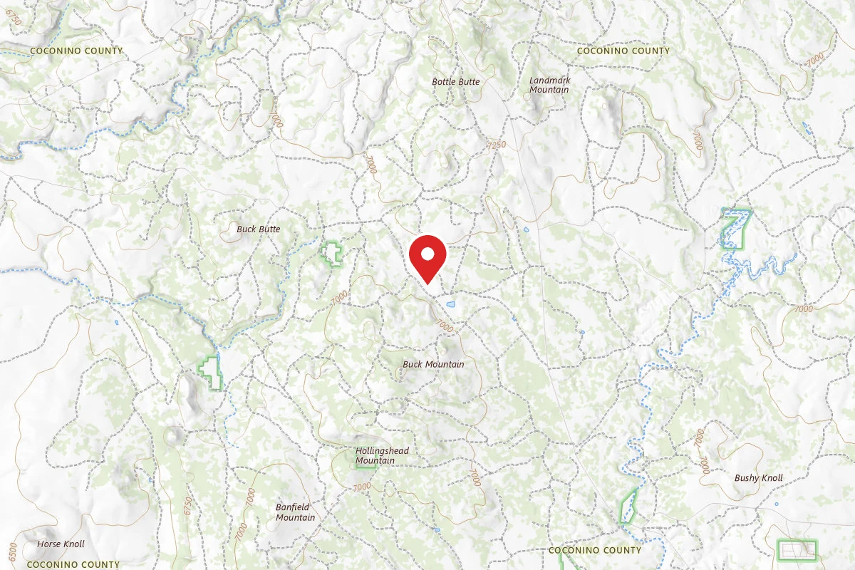 Buck Mountain Dispersed Camping