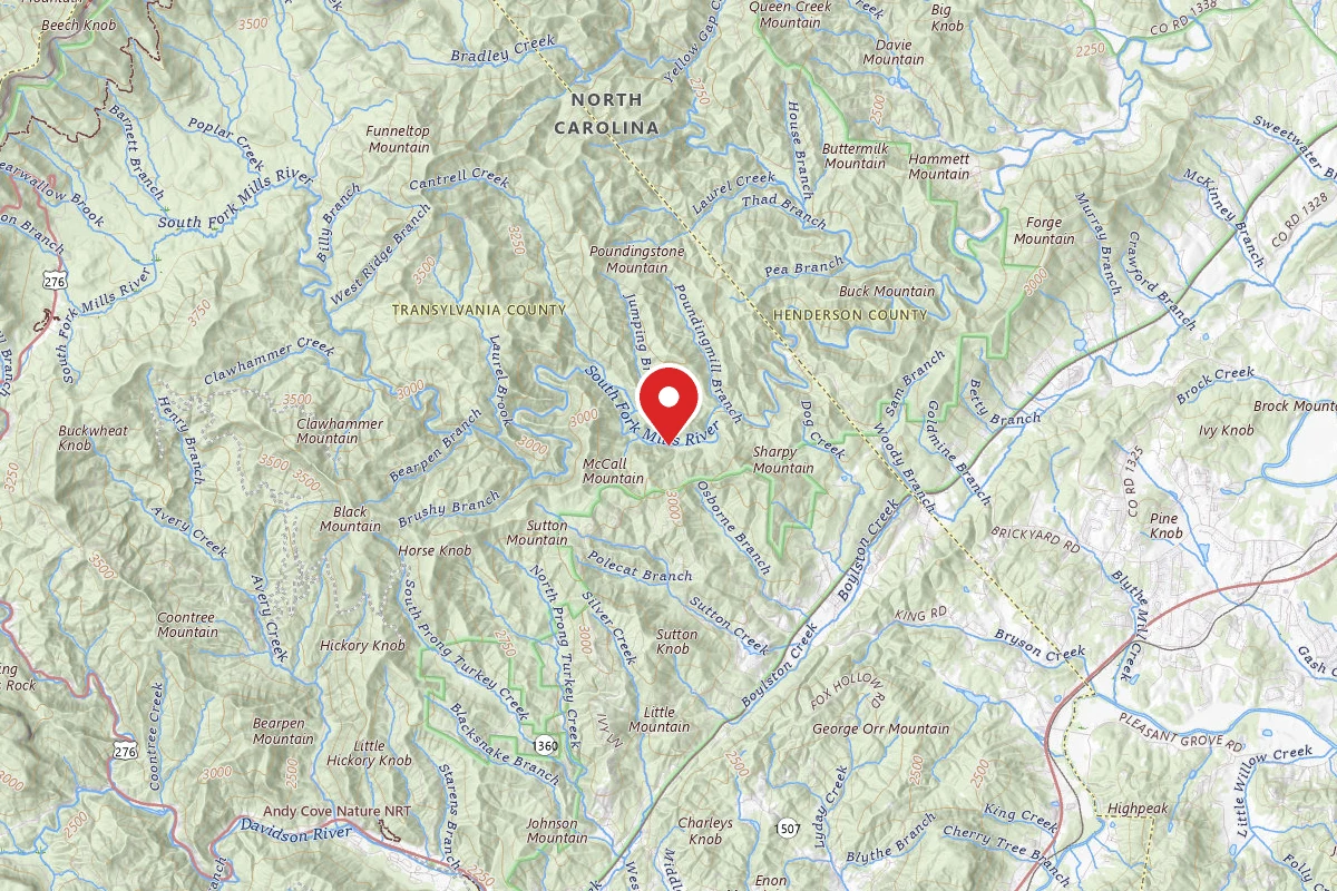 Pisgah NF - Yellow Gap Road Dispersed
