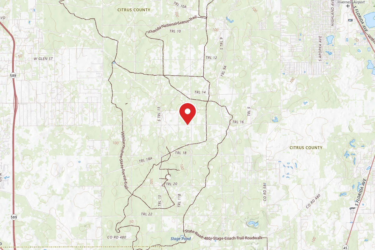 Mutual Mine - Withlacoochee State Forest