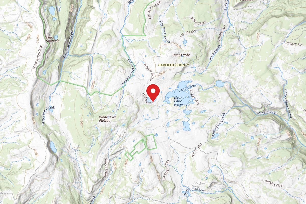 Dispersed Site near 39.7637, -107.3446
