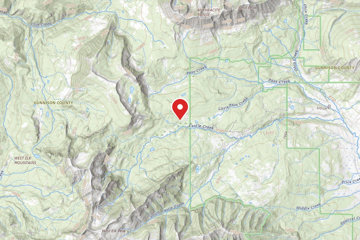 Dispersed Site near 38.7686, -107.1541