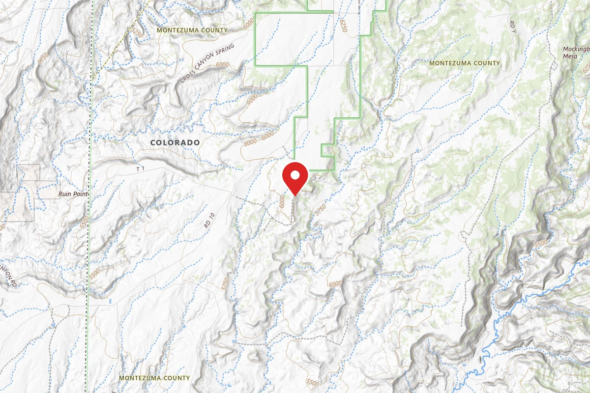 Dispersed Site near 37.4530, -108.9720