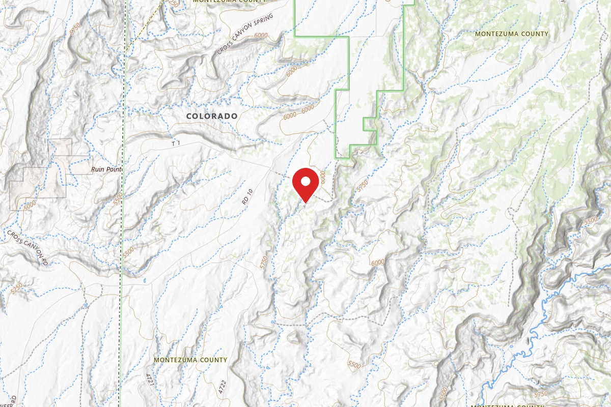 Dispersed Site near 37.4445, -108.9823