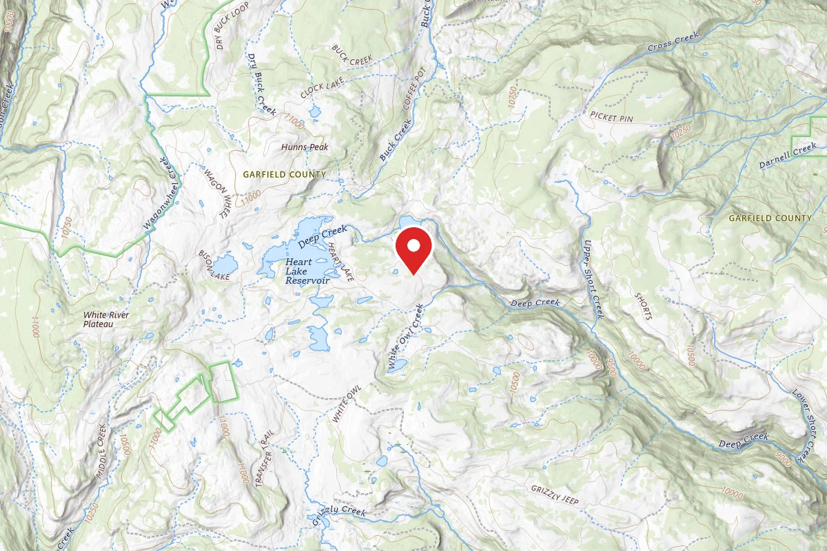Dispersed Site near 39.7634, -107.2986