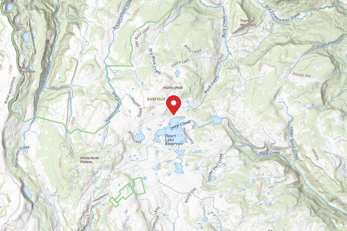 Dispersed Site near 39.7753, -107.3254