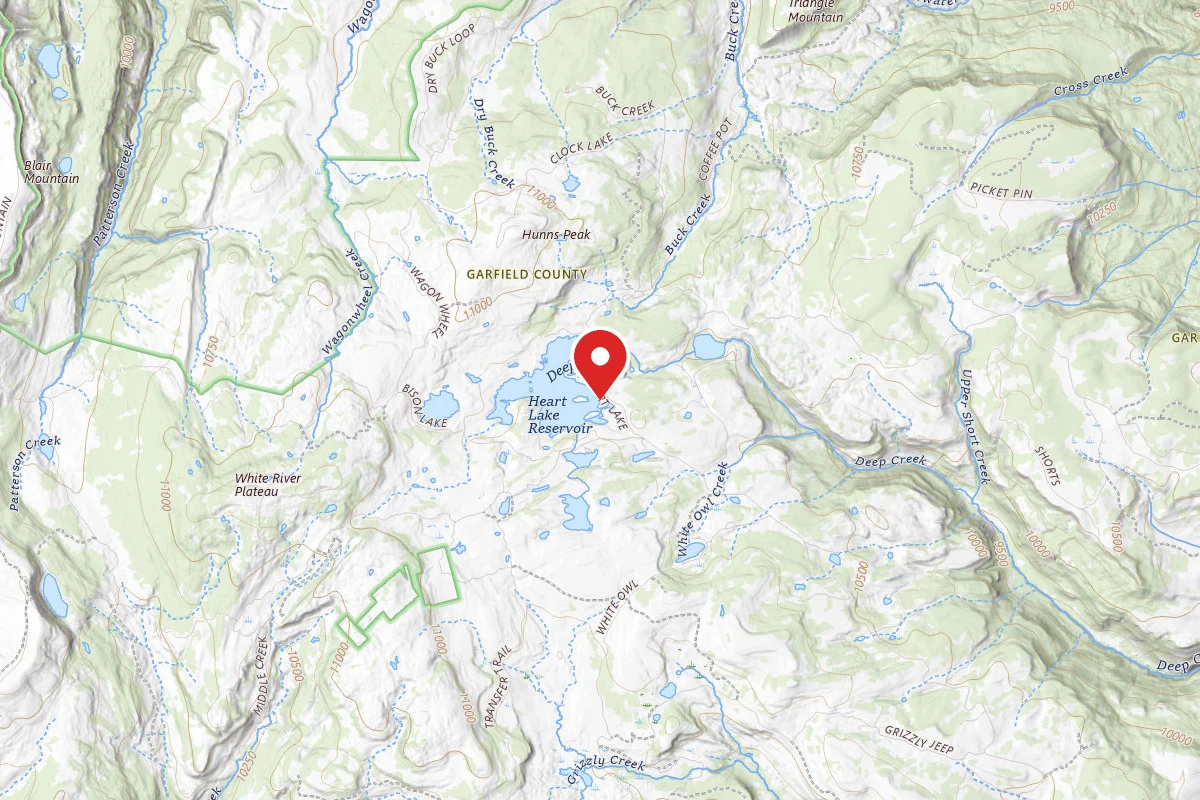Dispersed Site near 39.7661, -107.3182