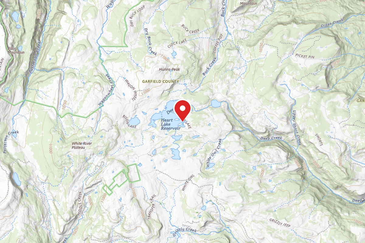 Dispersed Site near 39.7653, -107.3184