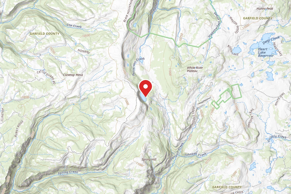 Dispersed Site near 39.7399, -107.4103
