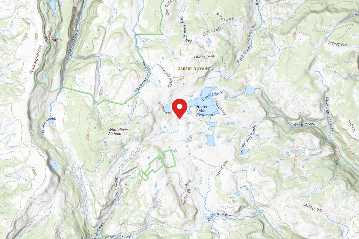 Dispersed Site near 39.7604, -107.3400
