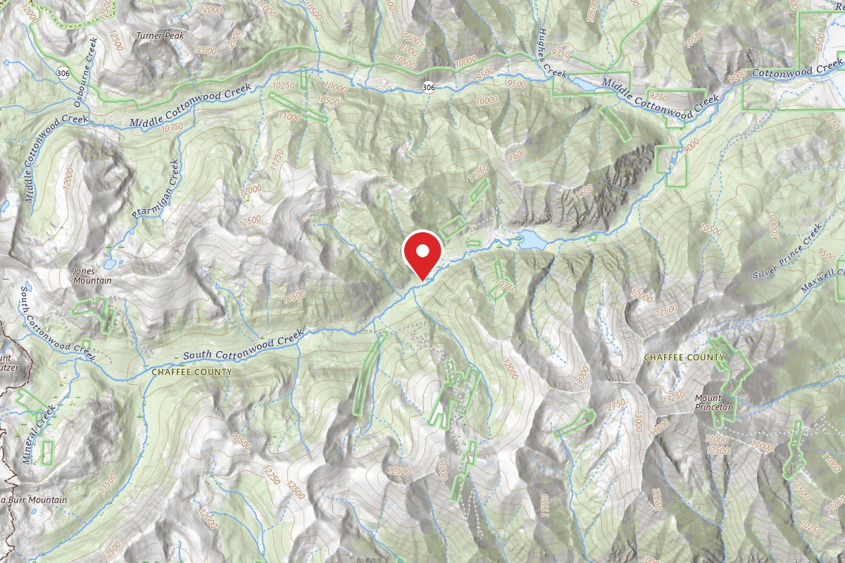 Dispersed Site near 38.7740, -106.3084