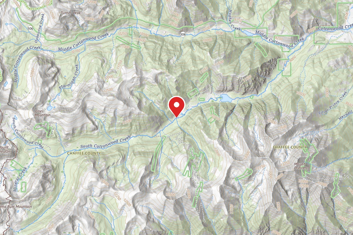 Dispersed Site near 38.7731, -106.3107