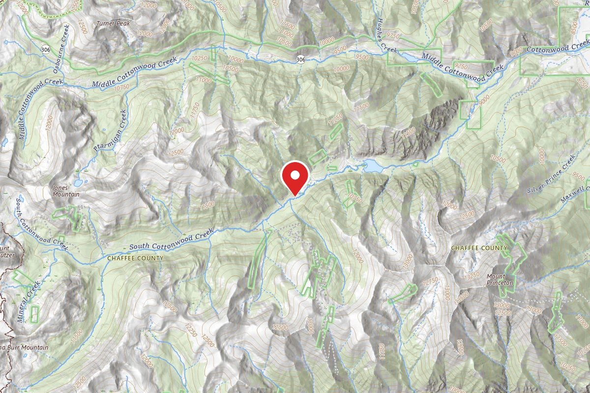 Dispersed Site near 38.7736, -106.3089