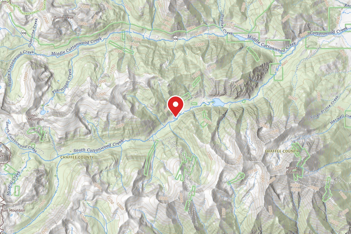 Dispersed Site near 38.7753, -106.3069