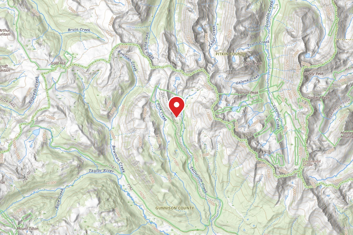 Dispersed Site near 39.0225, -106.6708