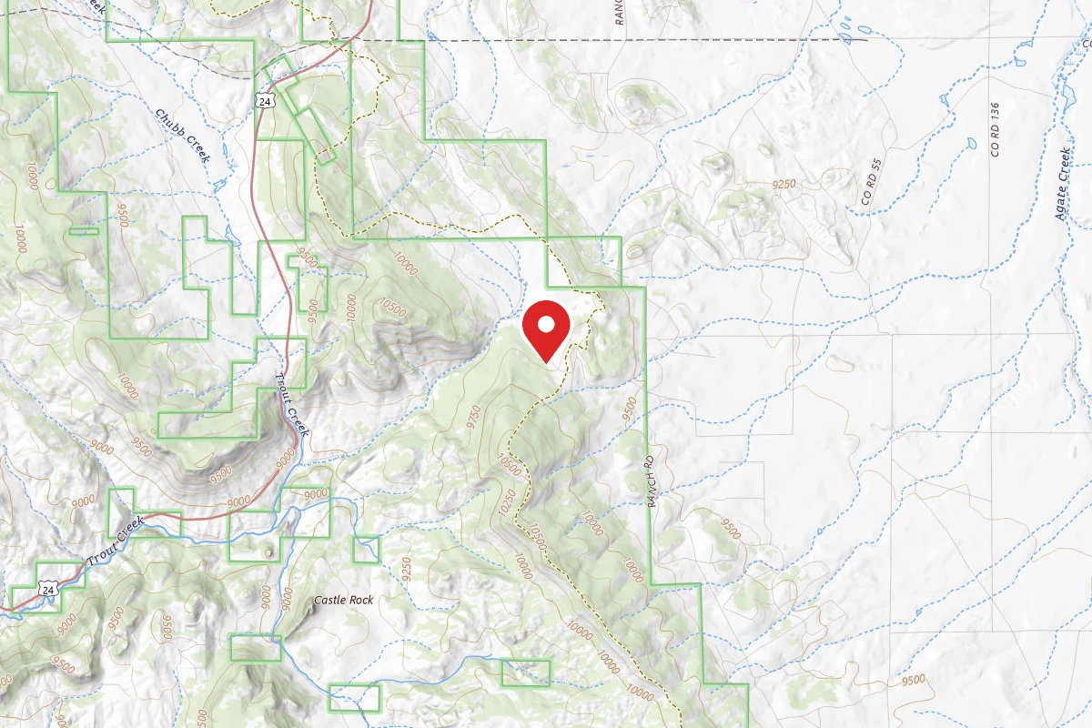 Dispersed Site near 38.8638, -105.9362