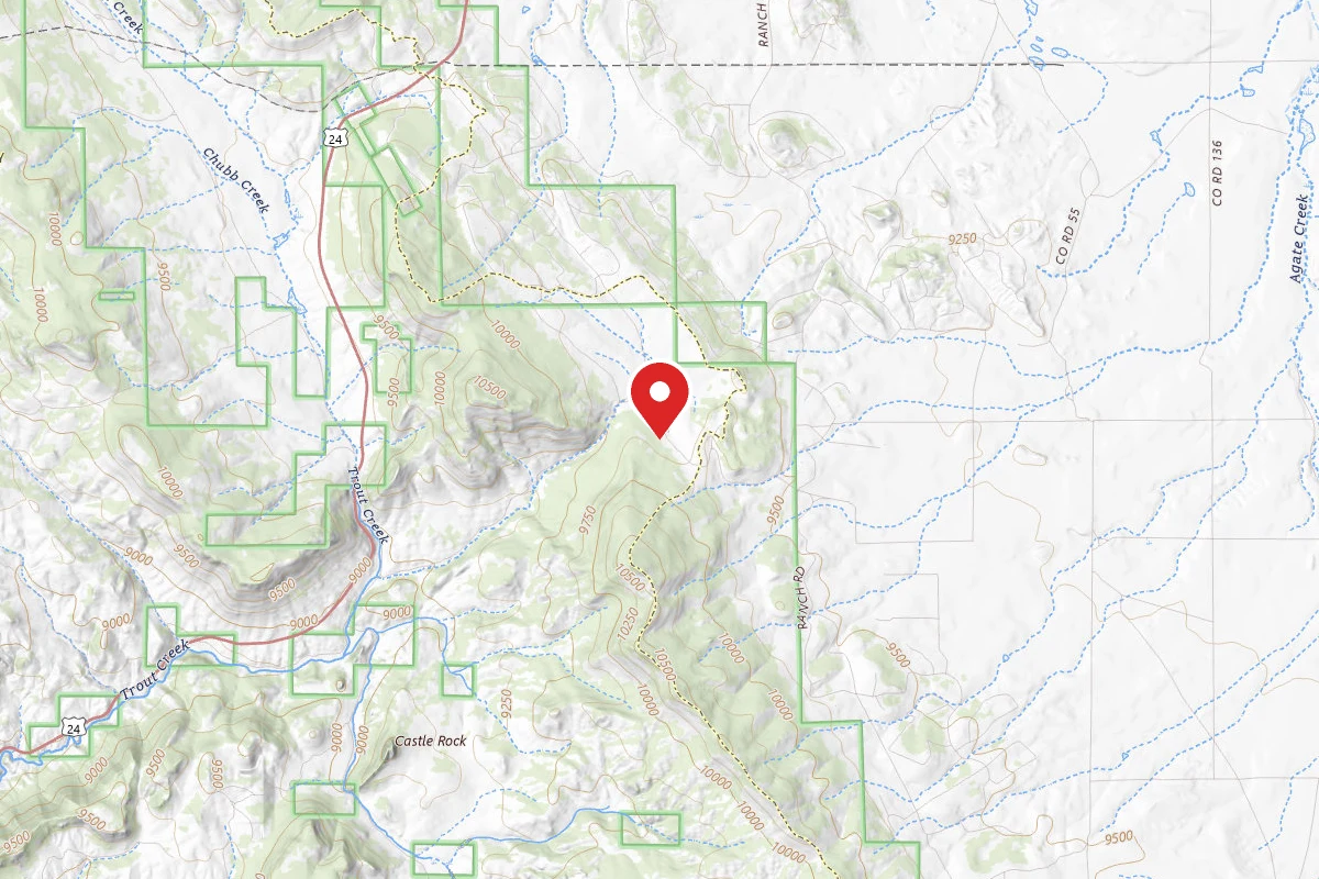 Dispersed Site near 38.8658, -105.9386