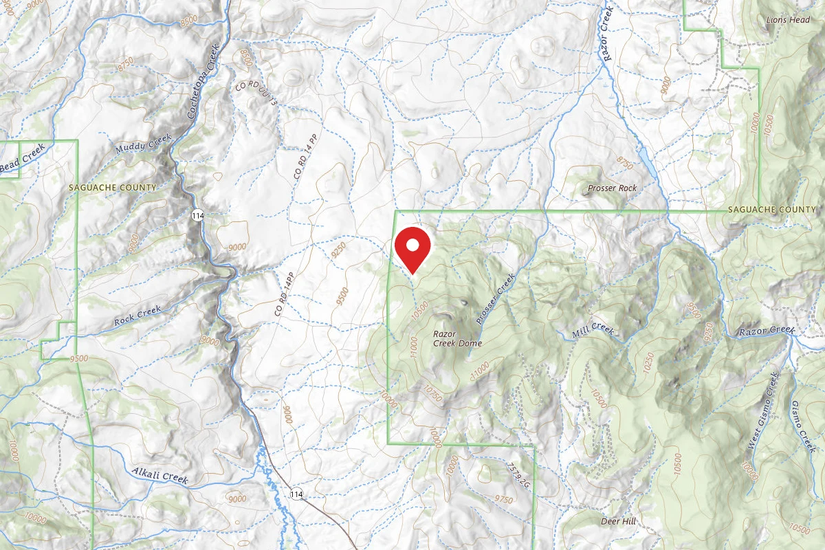 Dispersed Site near 38.3302, -106.7216