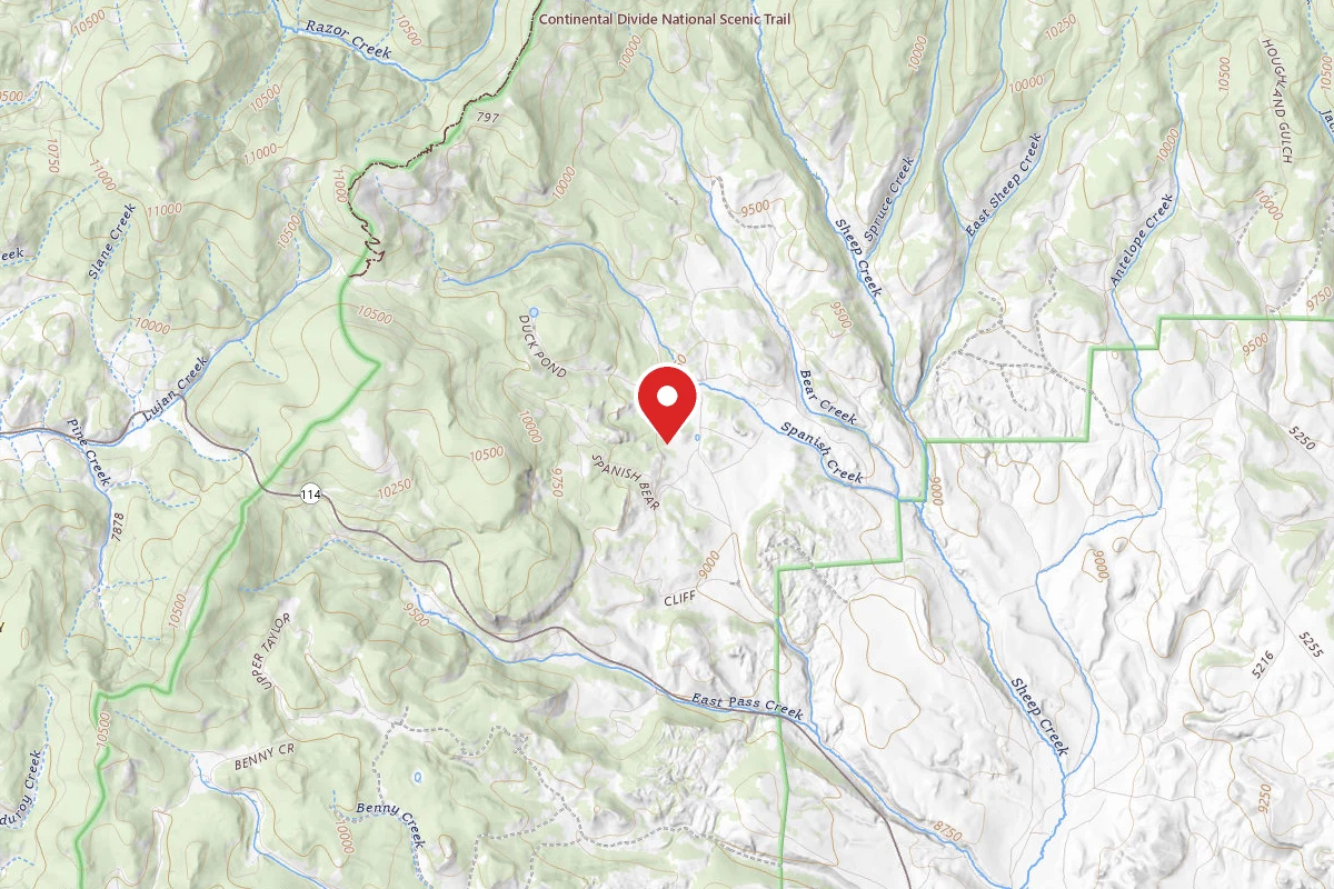 Dispersed Site near 38.2195, -106.5104