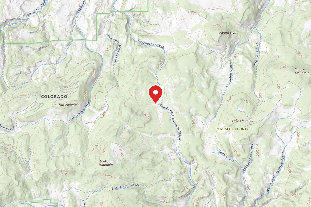 Dispersed Site near 38.0203, -106.4492