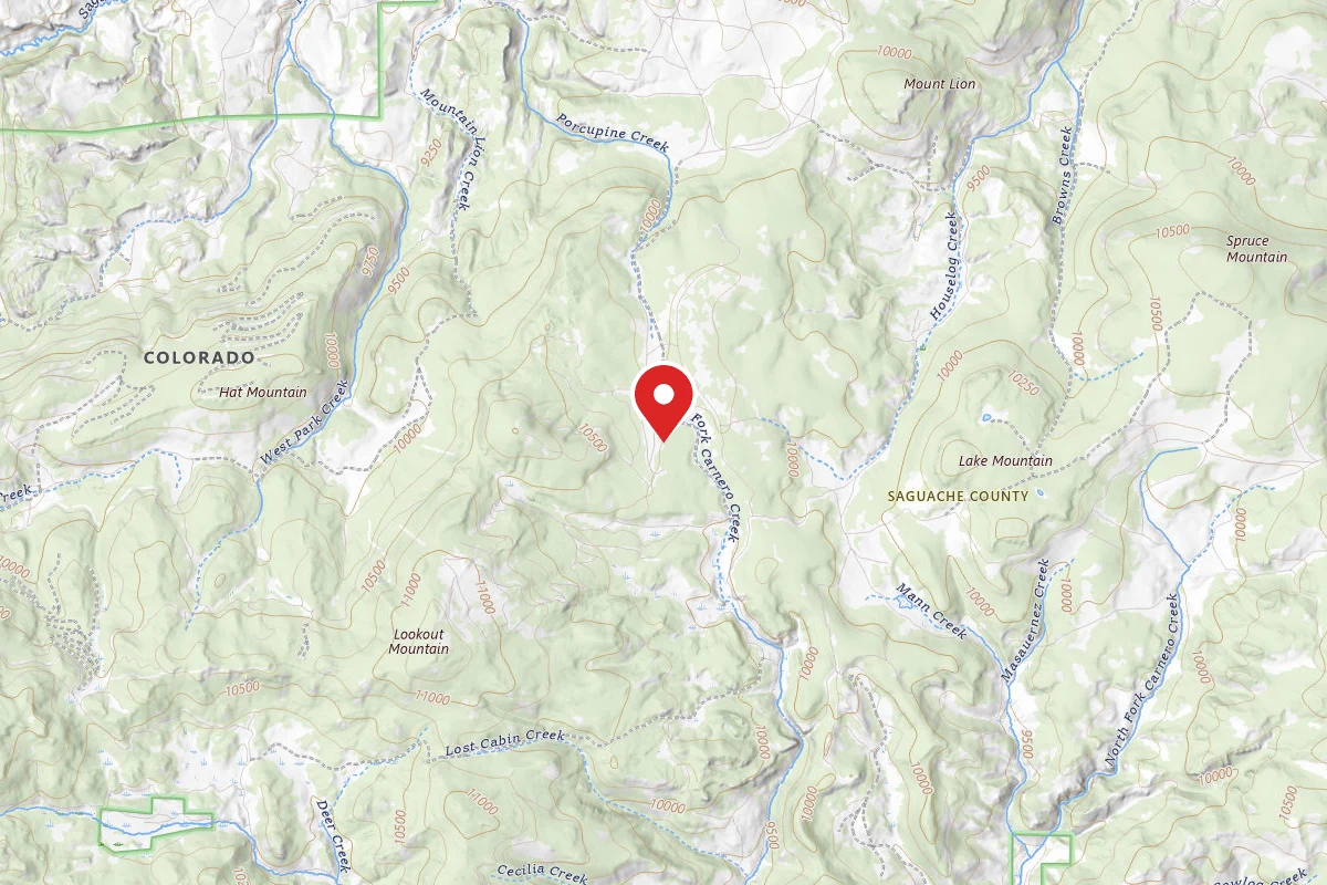 Dispersed Site near 38.0134, -106.4444
