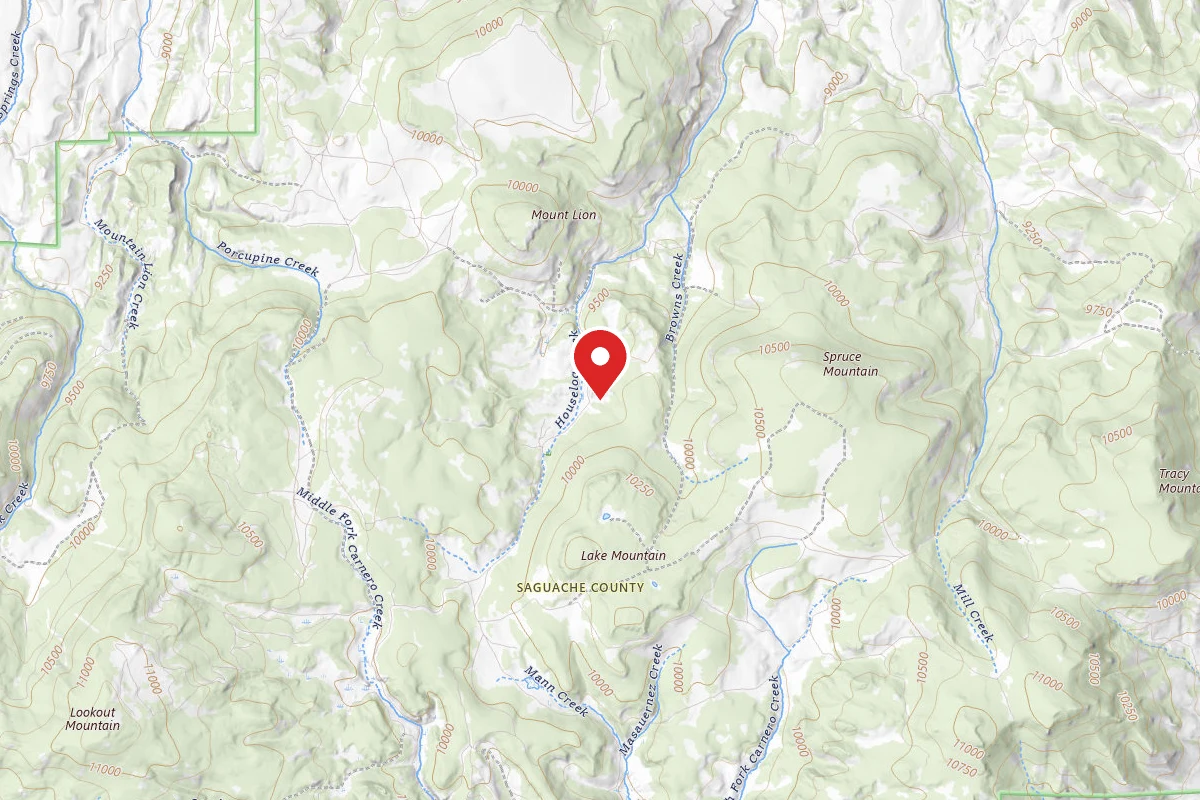 Dispersed Site near 38.0322, -106.3952