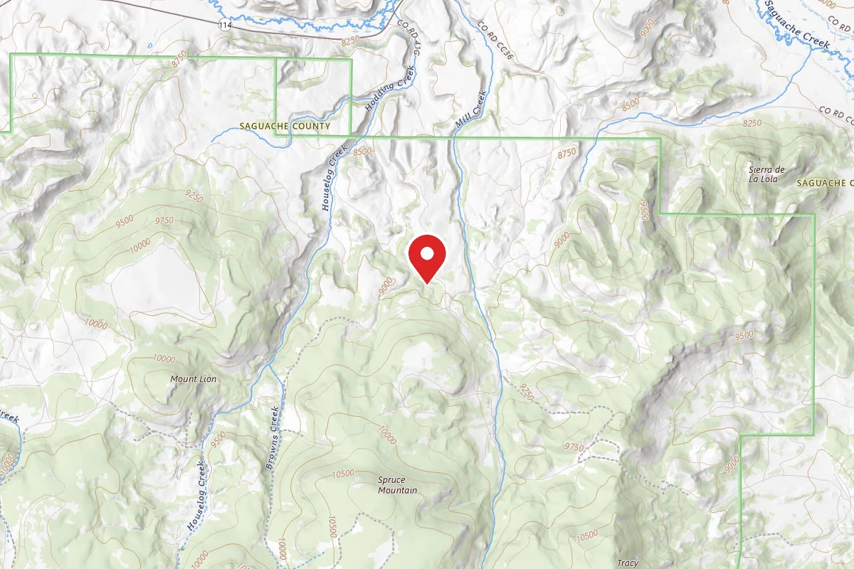 Dispersed Site near 38.0753, -106.3451